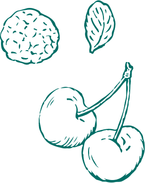 Ilustracja owoców