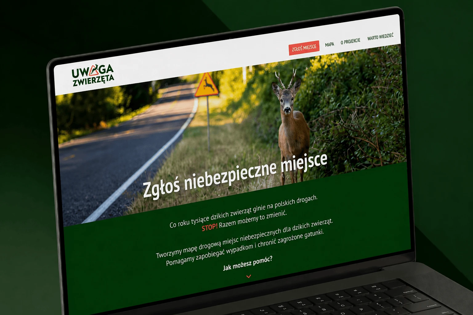 Strona główna Uwaga Zwierzęta na laptopie – hero z sarną przy drodze